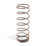 WSM Seadoo 800 & 951 Power Valve Compression Spring (1998 - 2005)