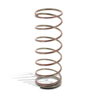 WSM Seadoo 800 & 951 Power Valve Compression Spring (1998 - 2005)