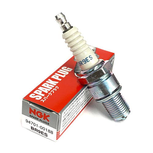 NGK BR9ES Spark Plug