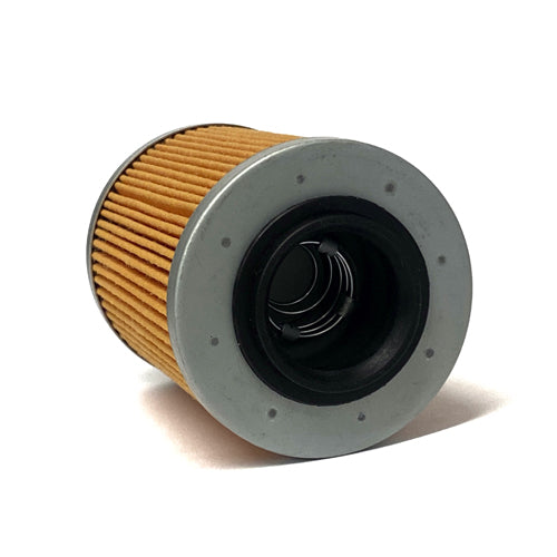 WSM Seadoo 900 Oil Filter (2014 - 2024)